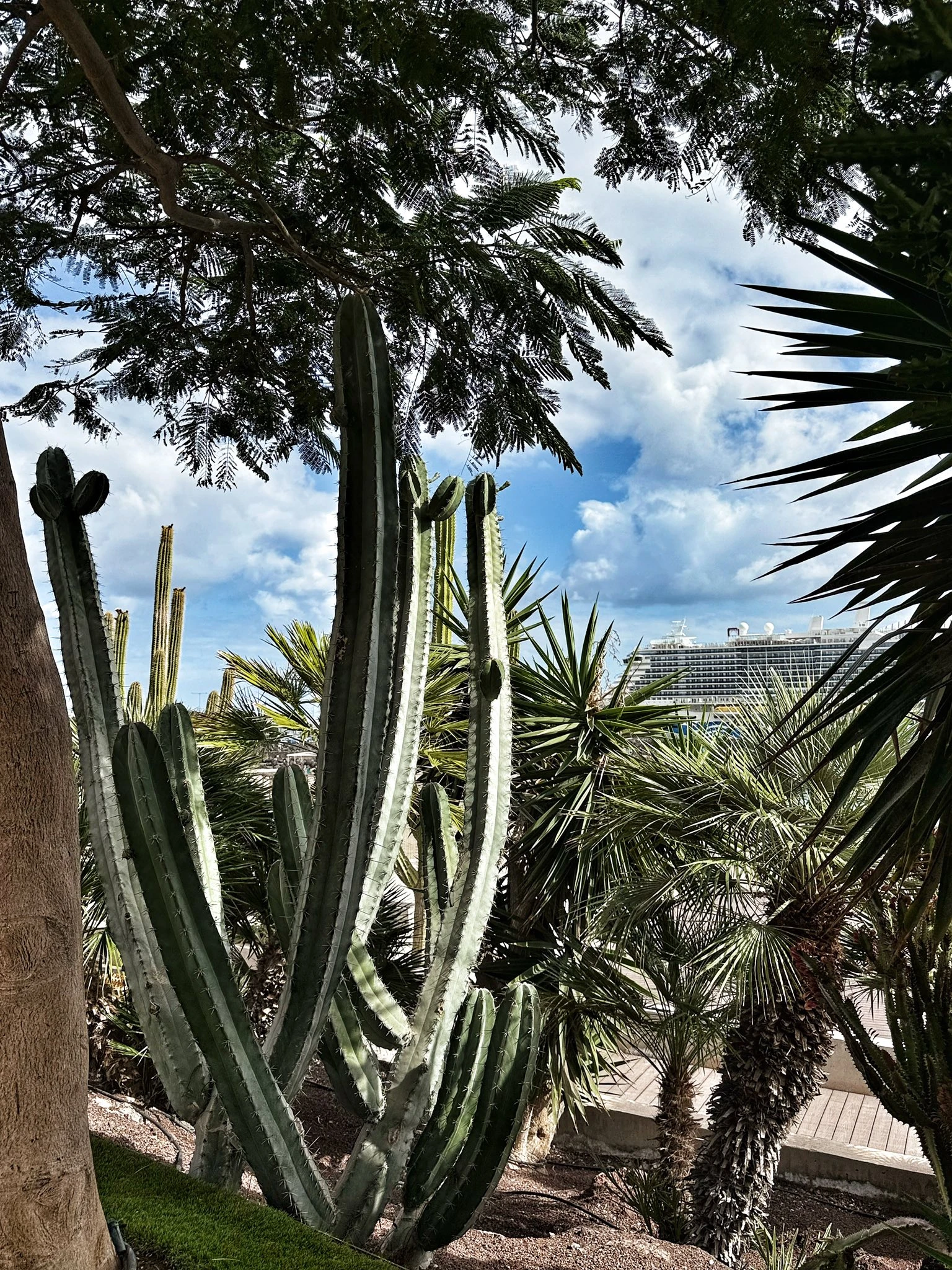 фуертовентура