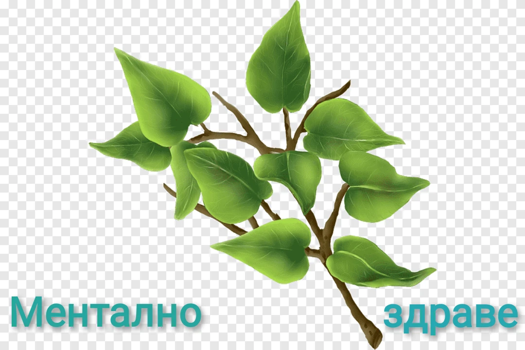Накратко за психичното здраве