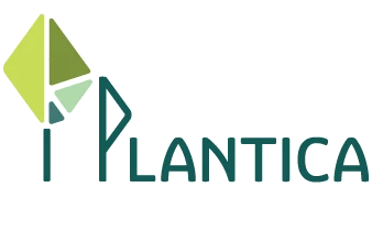 00338210288-plantica-logo-17007623470013.png