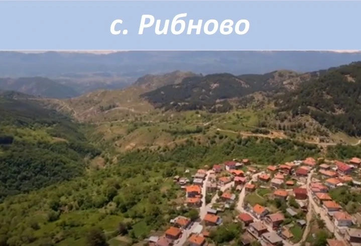 1080719490800-рибново-4-17441023516484.jpg