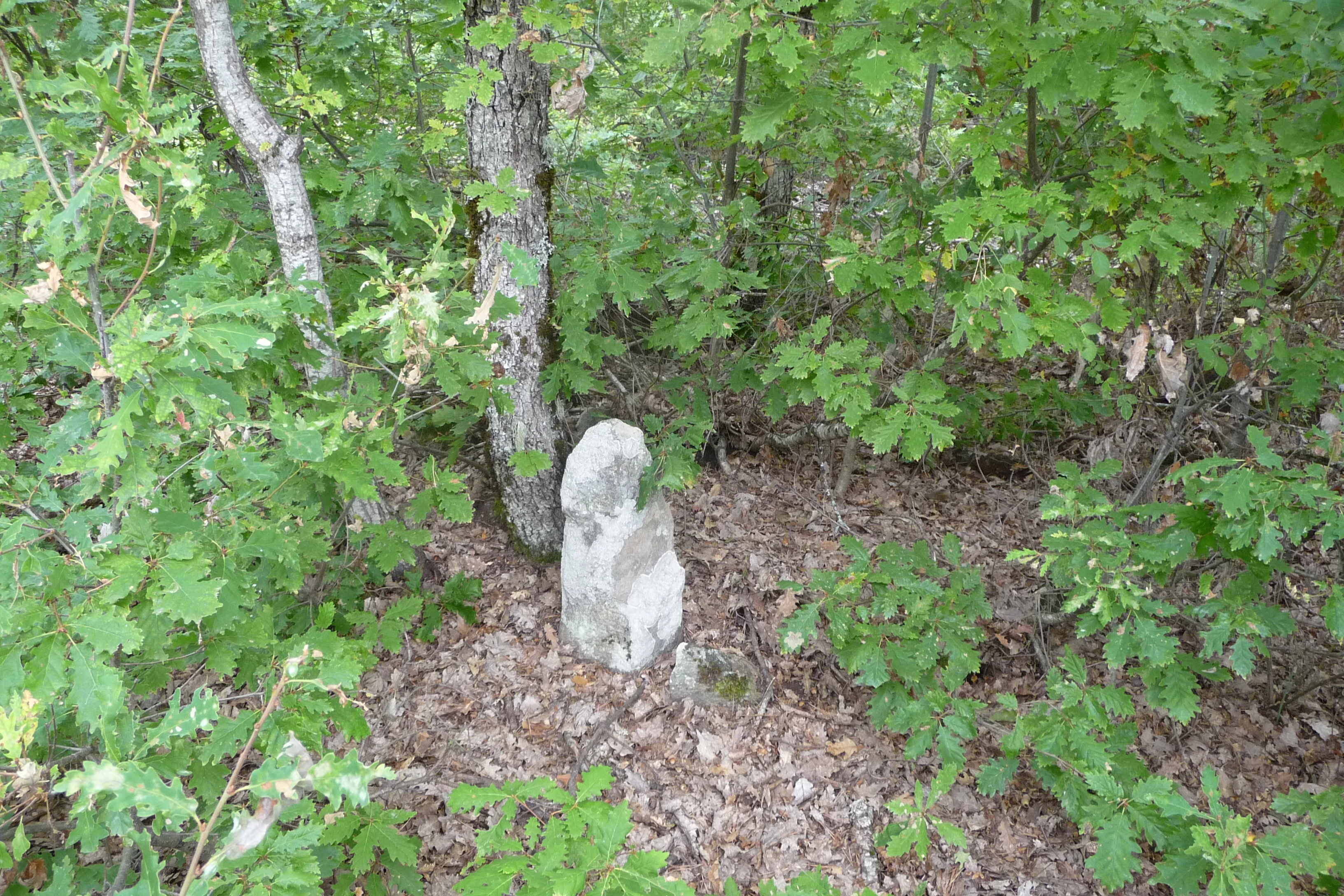 425-p1170198jpg-16964414271575.jpg
