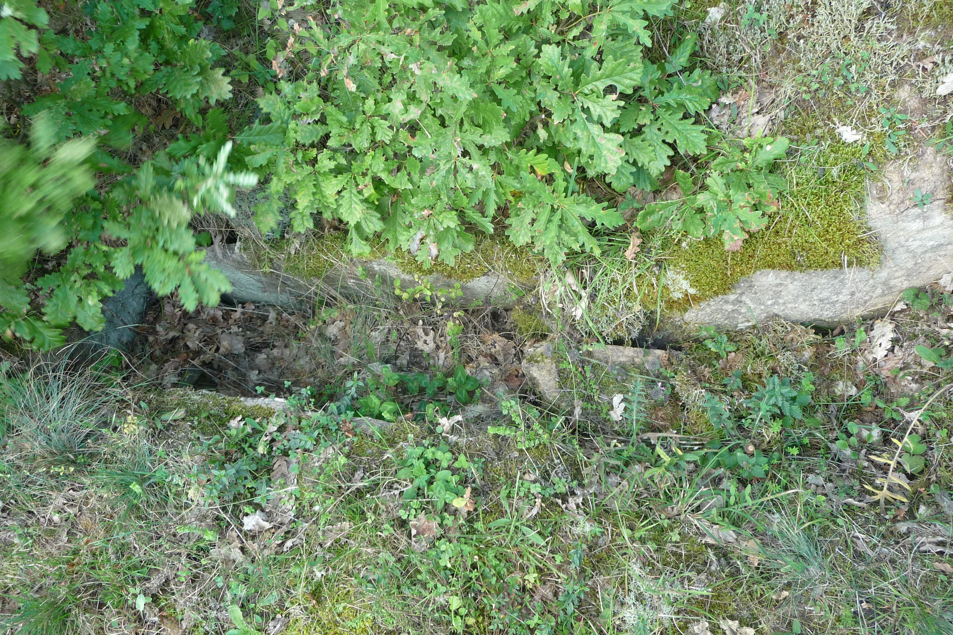 428-p1170164jpg-1696441630894.jpg