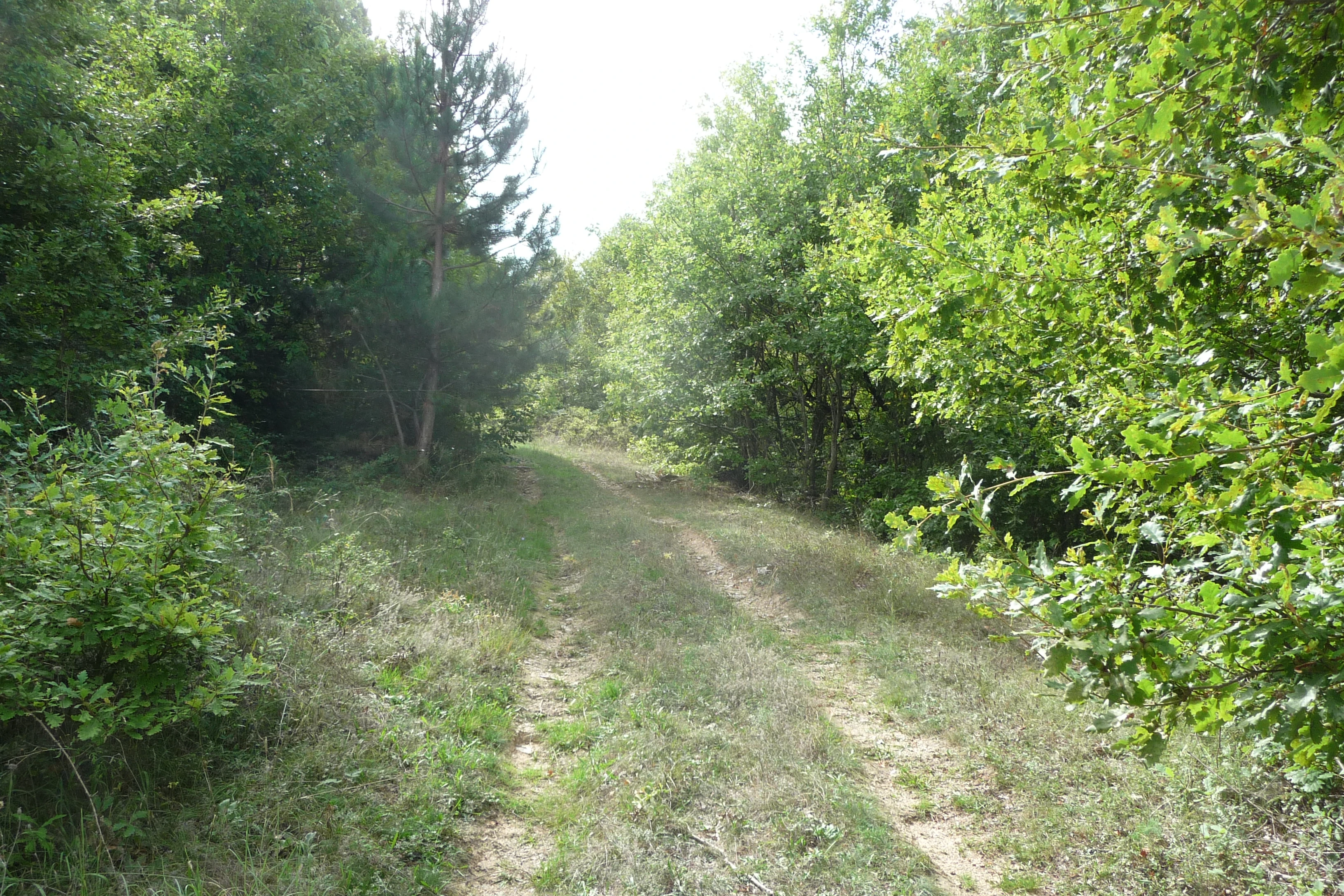 428-p1170181jpg-16964416315998.jpg