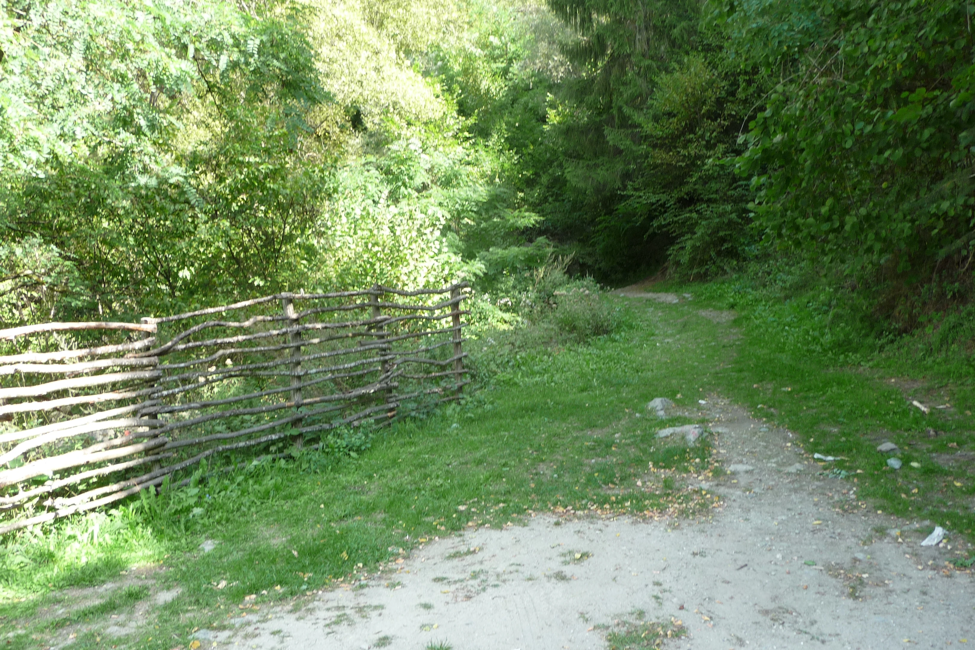 433-p1170290jpg-16964423743032.jpg