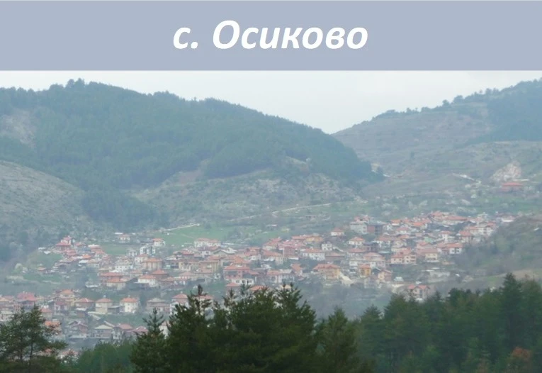 840765526990-осиково-2-17440995889216.jpg