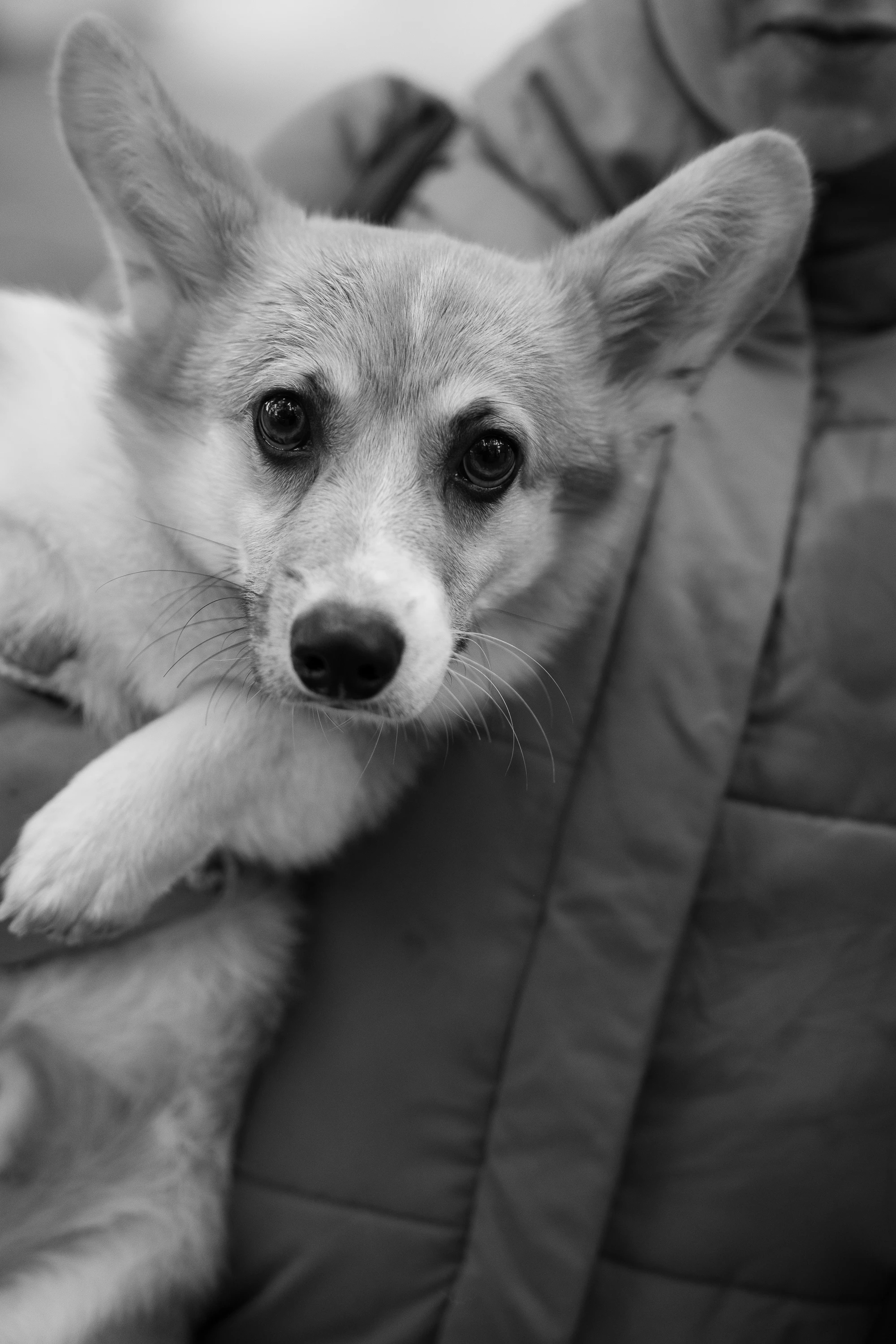 113-dsc06166-17606138872111.jpg