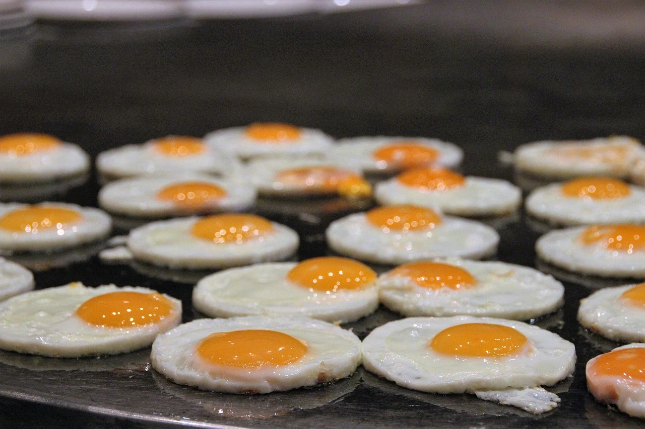 206-fried-egg-17899651280-170845567397.jpg