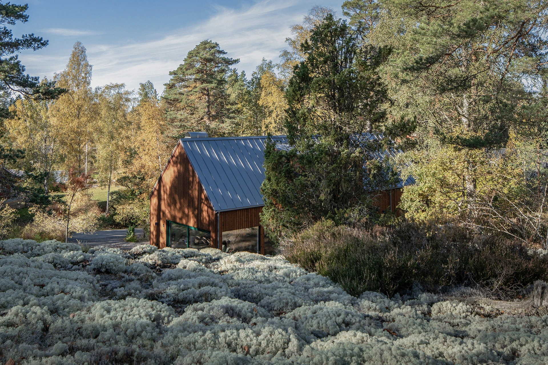 555-rushtonarkitektur-web-6-17931122142491.jpg