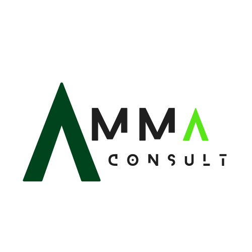 AMMA CONSULT