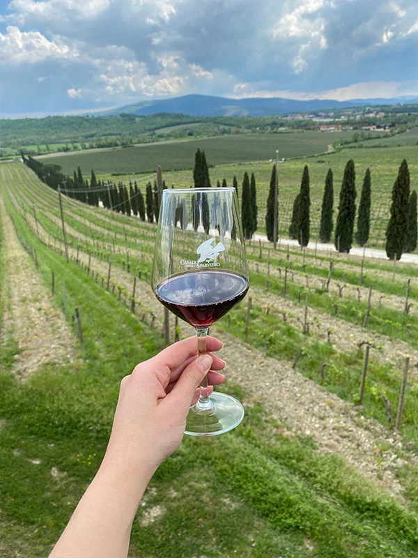 006008001844-wine-tour-degustazione-1-17593082174301.jpg