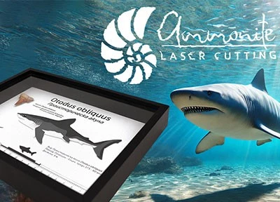 рязане гравиране декоративни рамки 