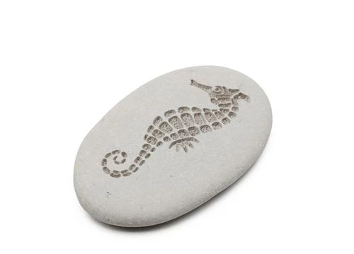 гравиран камък с лазер детайлно изображение на водно конче