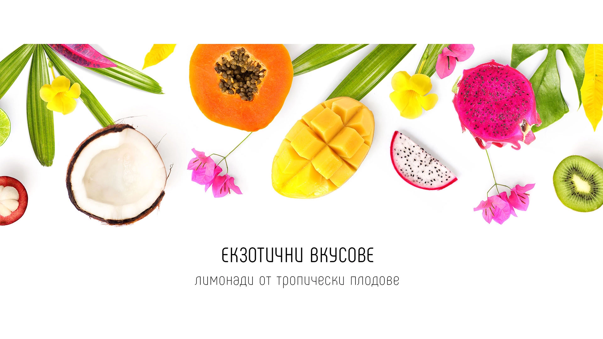 1228-main-banner-tropical-text-mobile-17540508042261.jpg