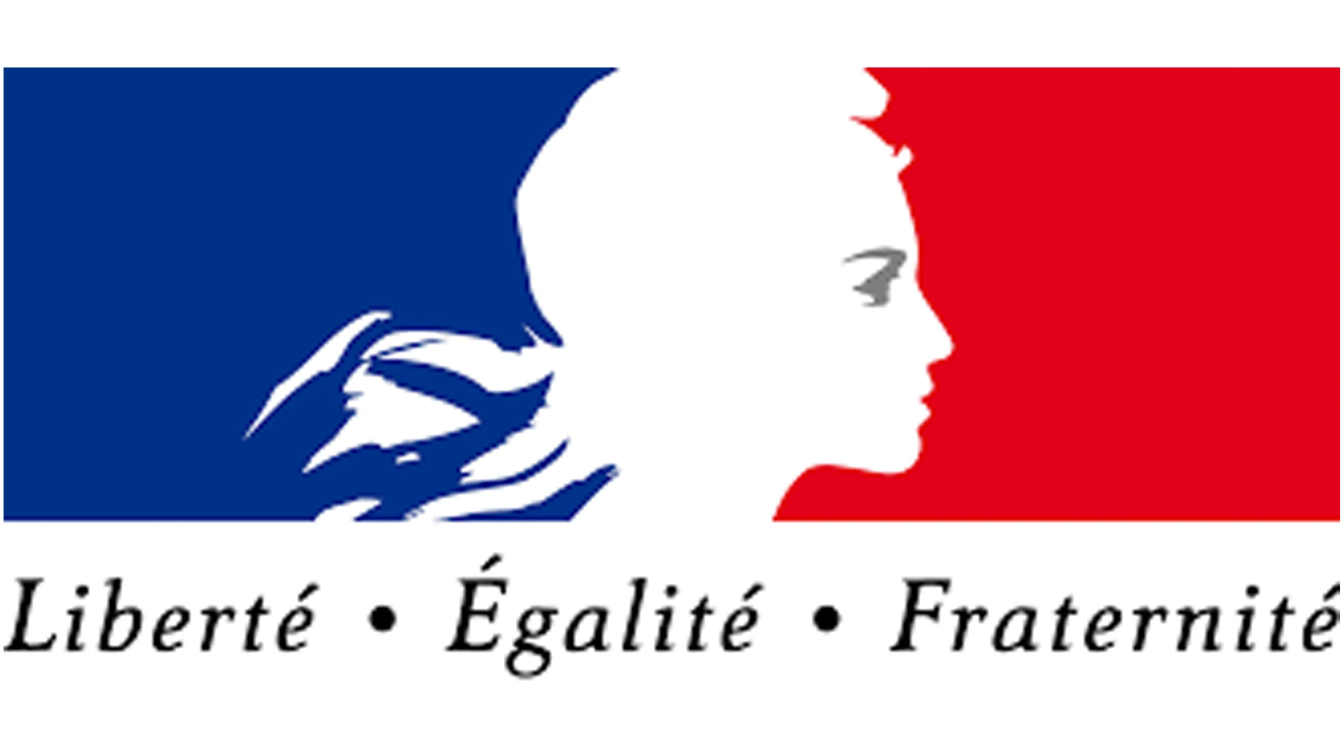 Посолство на Франция в България 45-french-institute-17367721490993.png