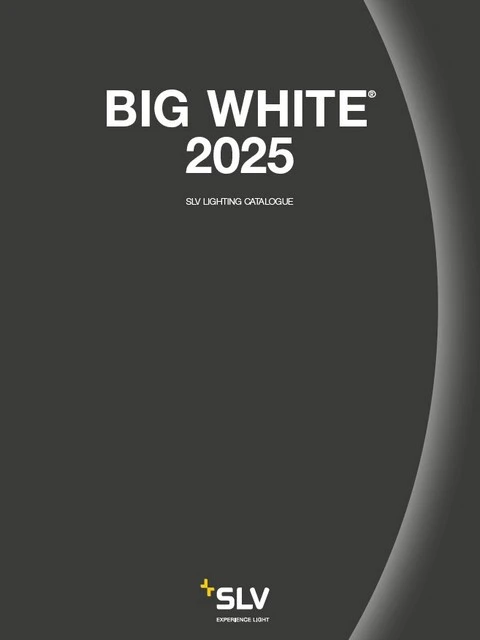 516-slv-2025-17452698290317.jpg