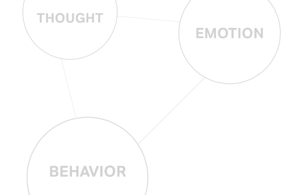 Emotional Intelligence. Develop leadership competences and communication skills