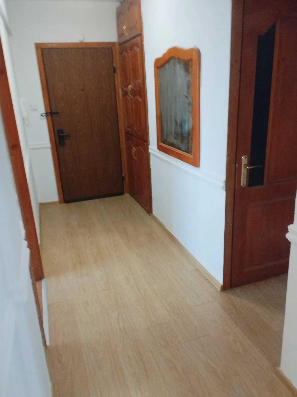268-viberimage2025-01-2908-18-37-196-17382385337037.jpg