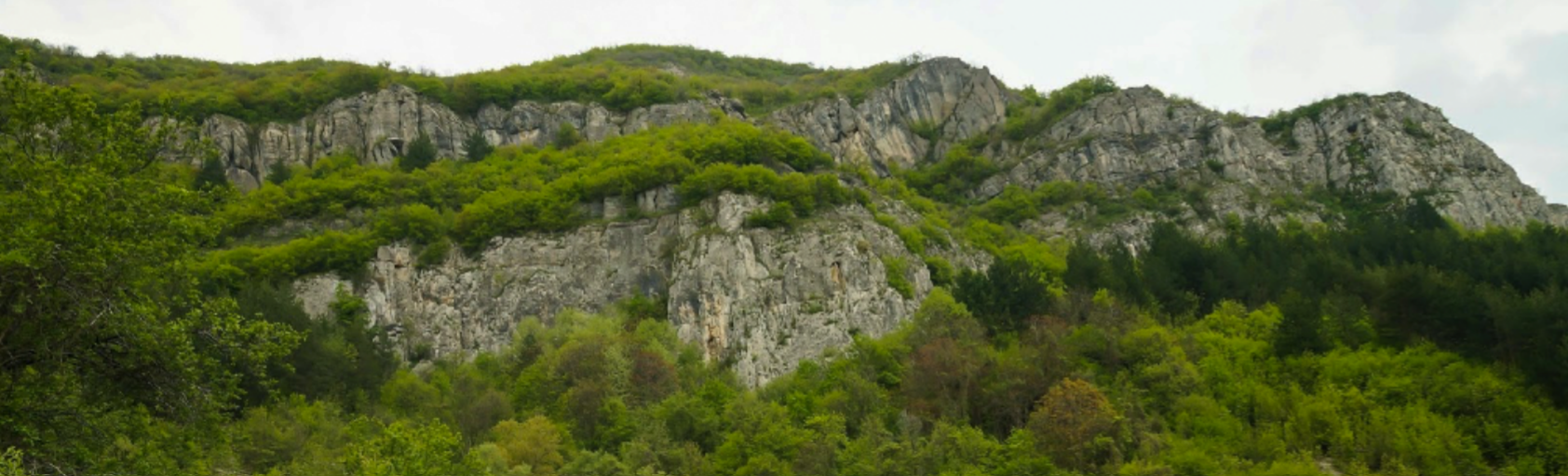 Добравишка скакля