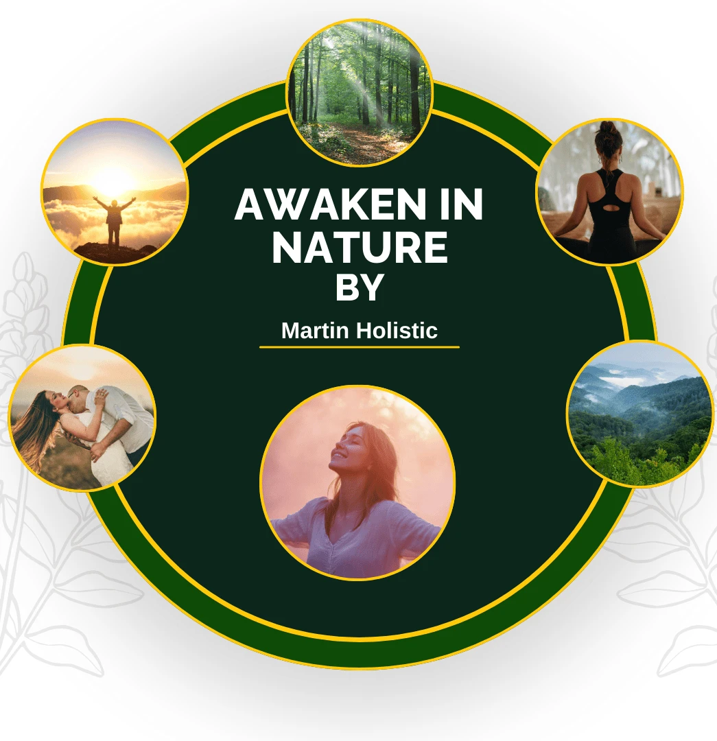 Ретрийт и вътрешна работа сред природата с фокус върху тишина и присъствие