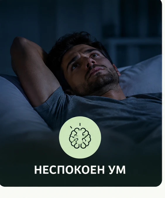 2120-nespokoenumcard-17909448492456.png