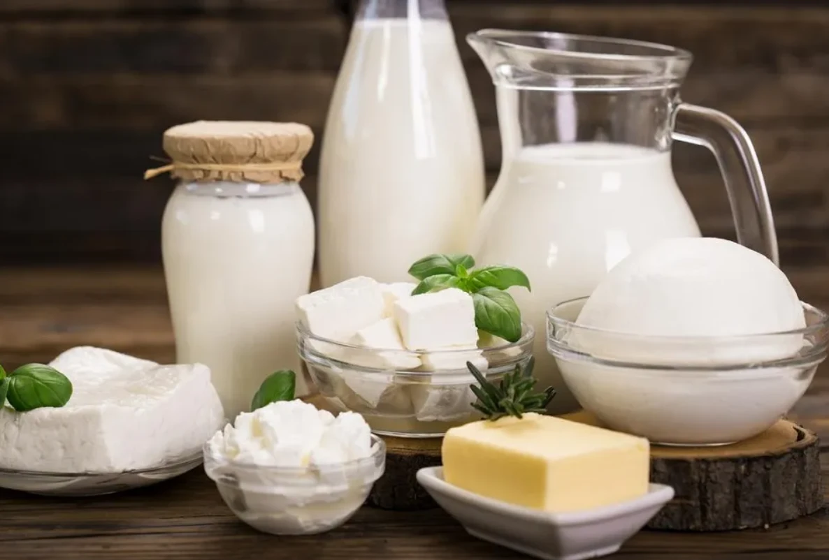 МАЧФЕРМ МЛЕЧНИ ПРОДУКТИ СОФИЯ