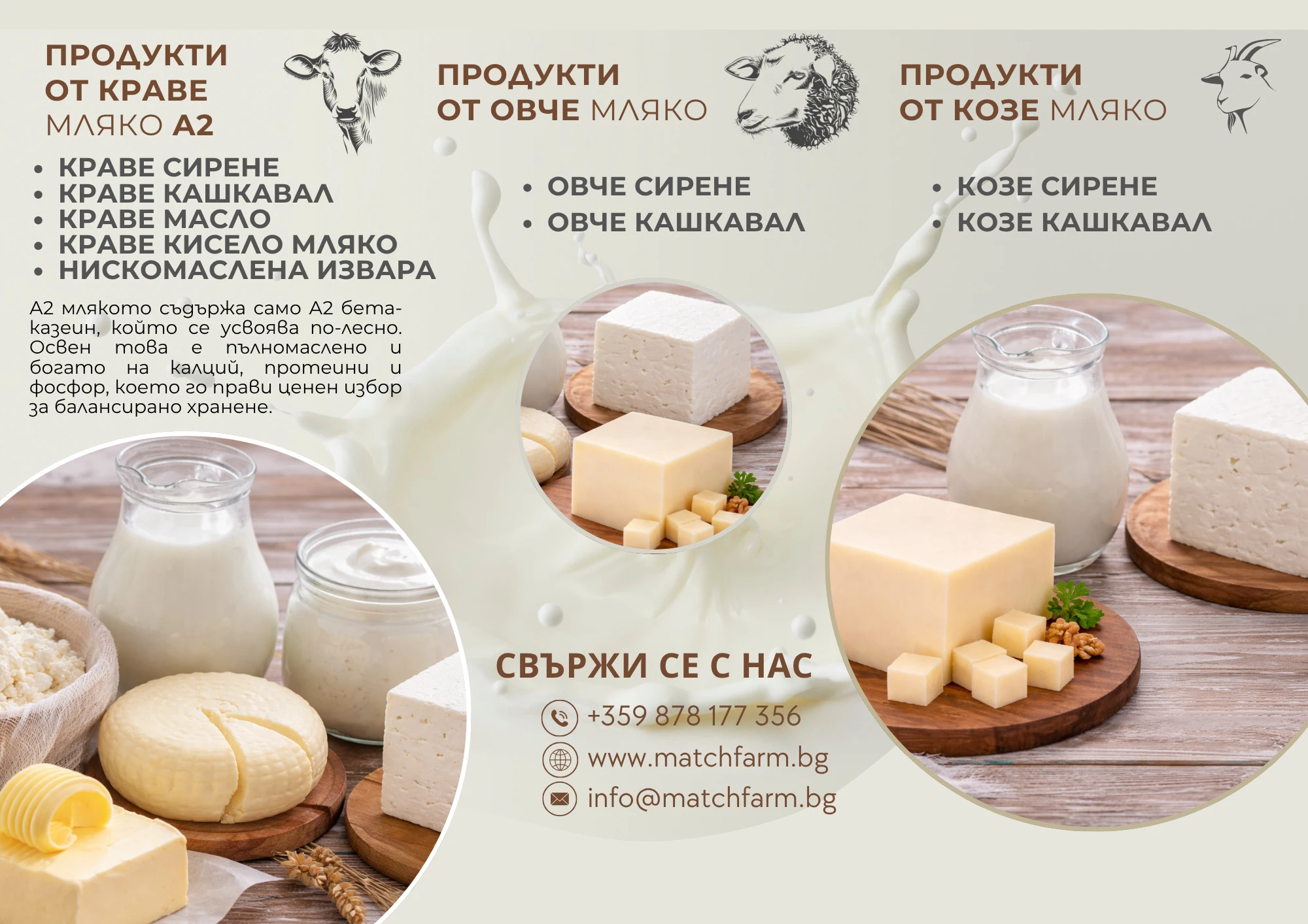 764-млечни-продукти-от-а2-мляко-1-17743493962073.png