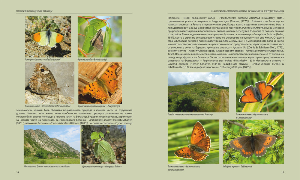 Пеперудите на Природен парк "Беласица"