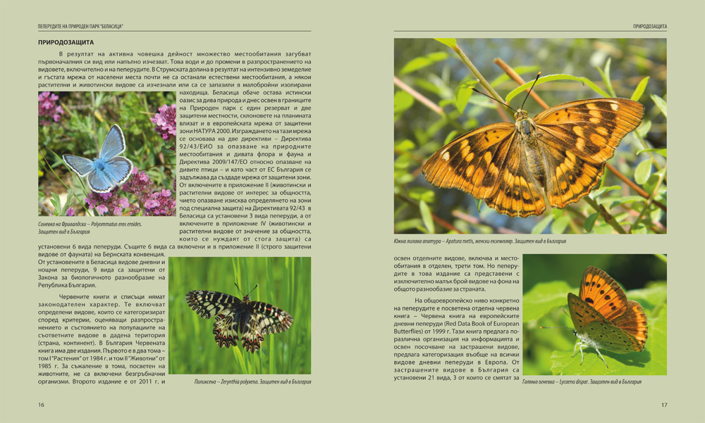 Пеперудите на Природен парк "Беласица"