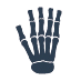 240-rheumatology.png