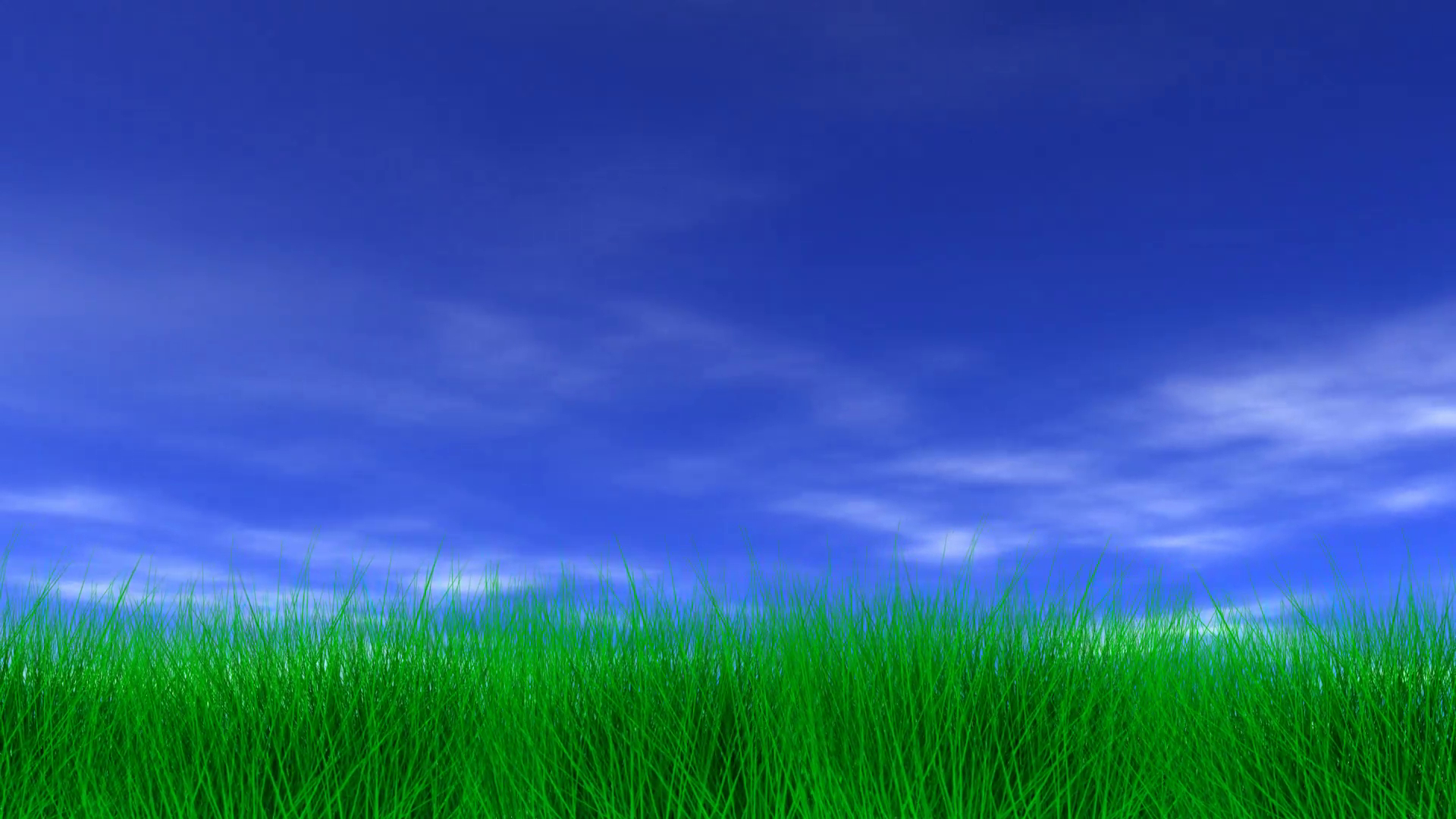 r367-beautiful-green-grass-blue-sky-motion-background-storyblocks-video.png