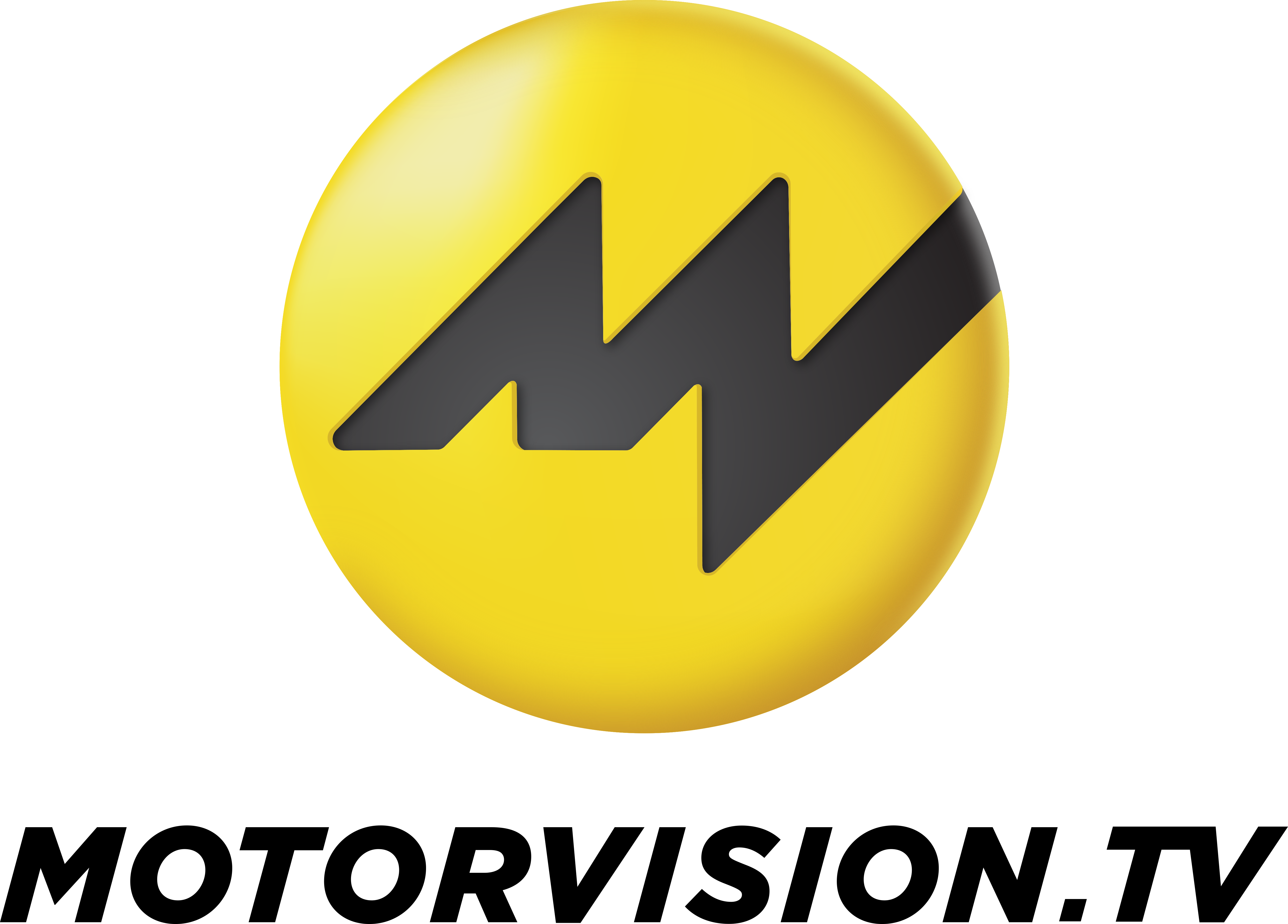 310-mvtvlogo2017schwarzhochrgb-15577676680318.png