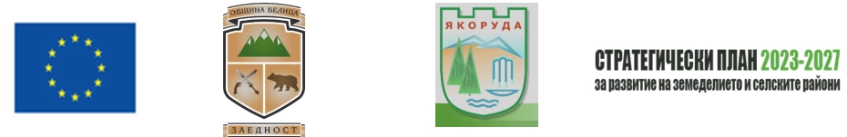 018930151235-екранна-снимка-2025-05-12-163302-17470567941872.png