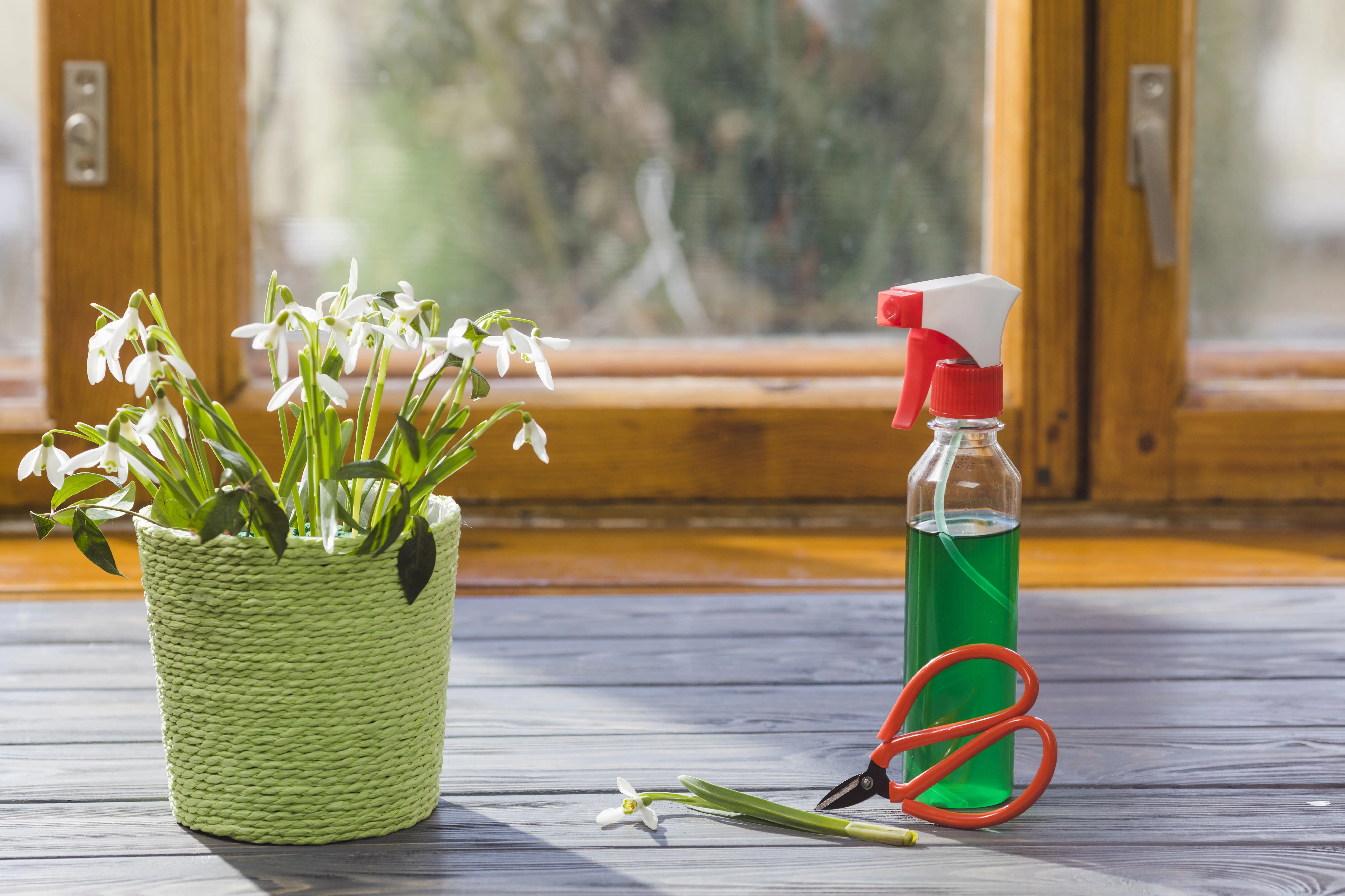 Пролетно почистване с професионална фирма за почистване – 5 важни неща, които трябва да знаете