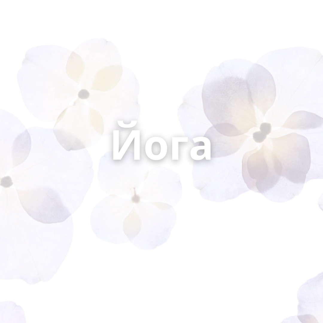 1458-2-1752325033205.png