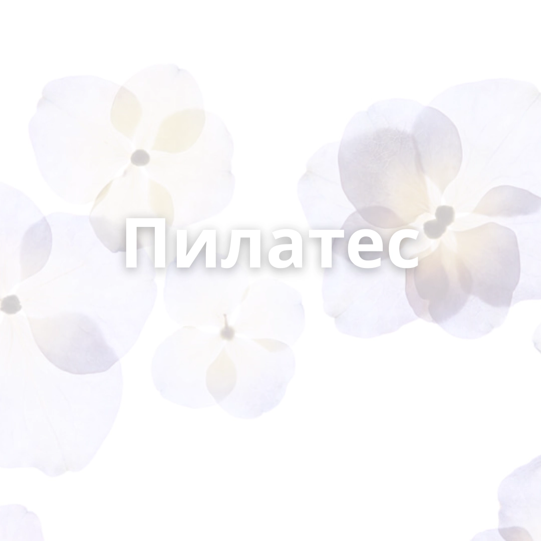 1458-3-1752325033205.png