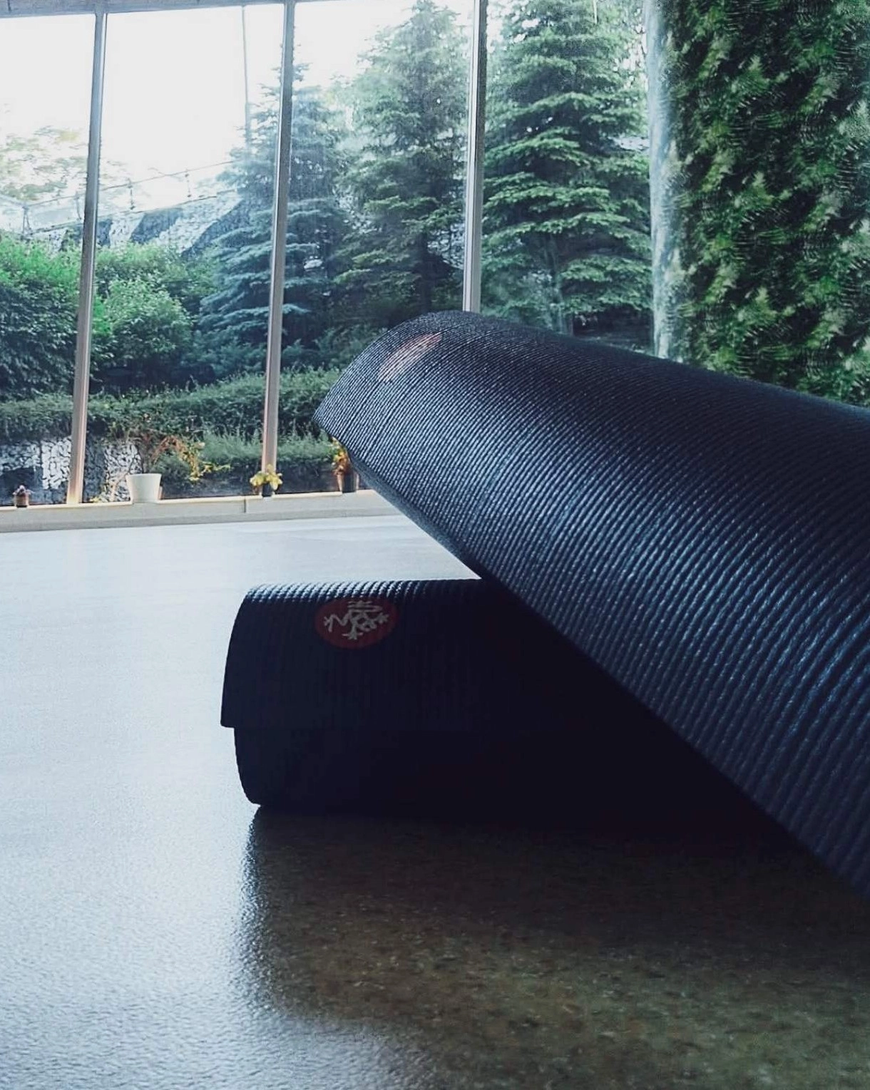 8915122015291254-za-pilates-web-17495805888464.jpg