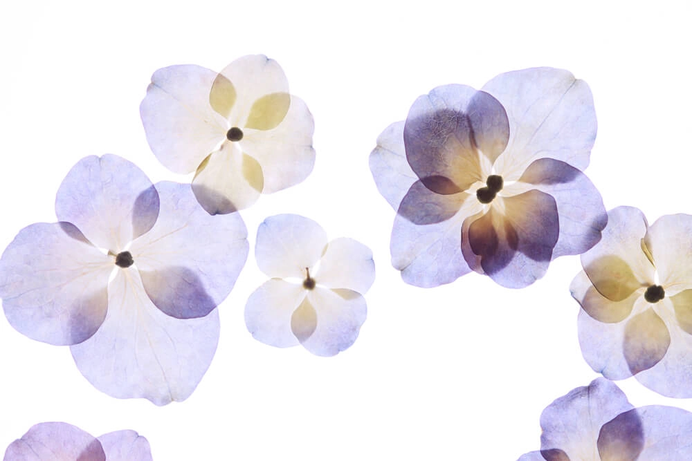 r623-r357-r17-shutterstock320235401-17054006026665-17396504291013.jpg