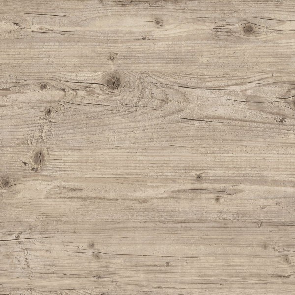 857-0226washingtonpine-600x600-17159641384942.jpg