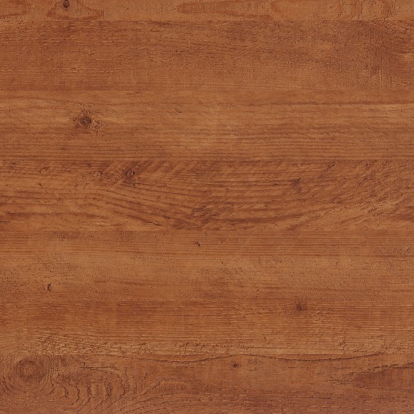 857-0236bobspine-600x600-17160233675196.jpg