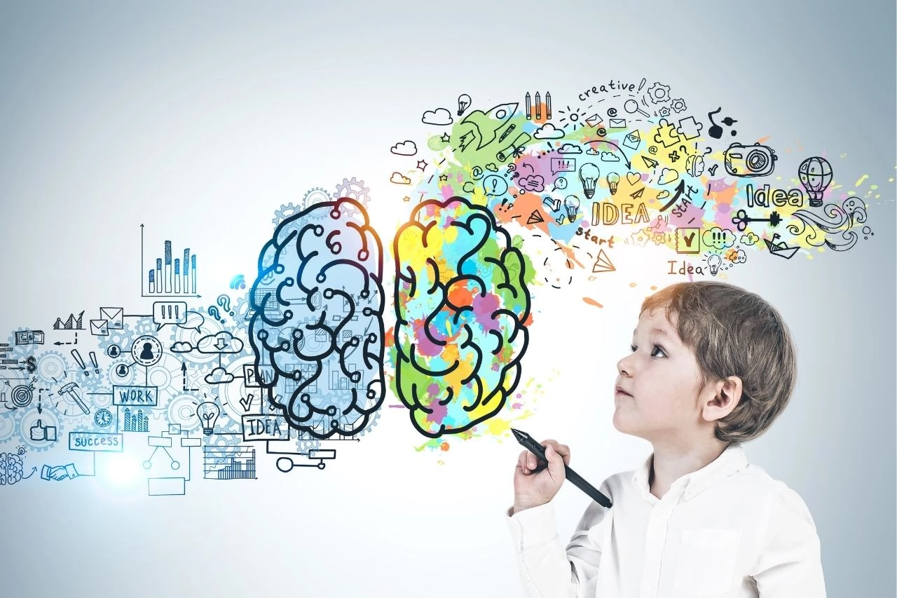 Невропедагогиката: бъдещето на образованието в хармония с мозъка
