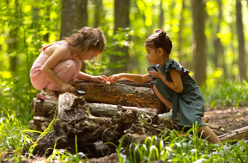 Преди буквите - емоциите. Невропедагогически поглед към ранното детство