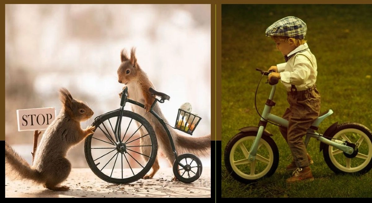 Защо е толкова трудно да променим навиците си - невронауката зад „старите пътеки“