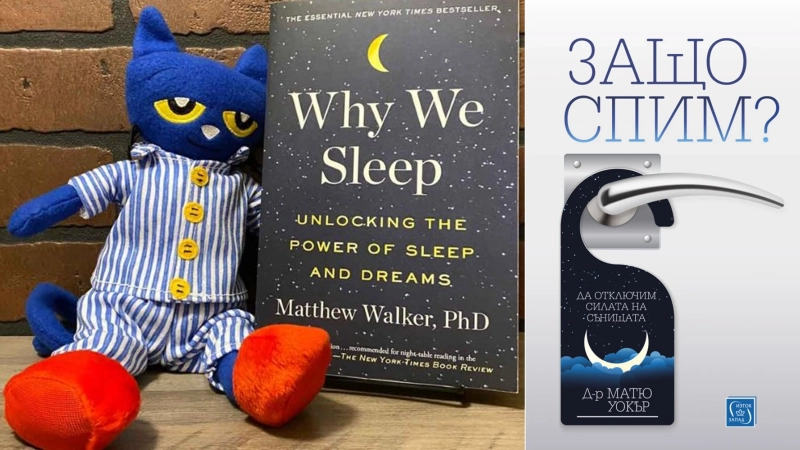 Сънят като суперсила: как „Защо спим?“ от Матю Уокър променя начина, по който живеем