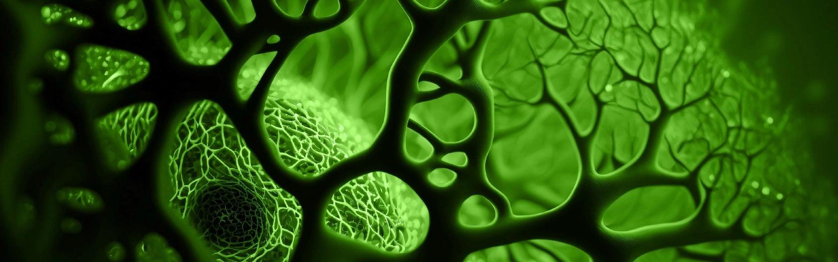 r33-nerve-cell-green-17700530147077.jpg