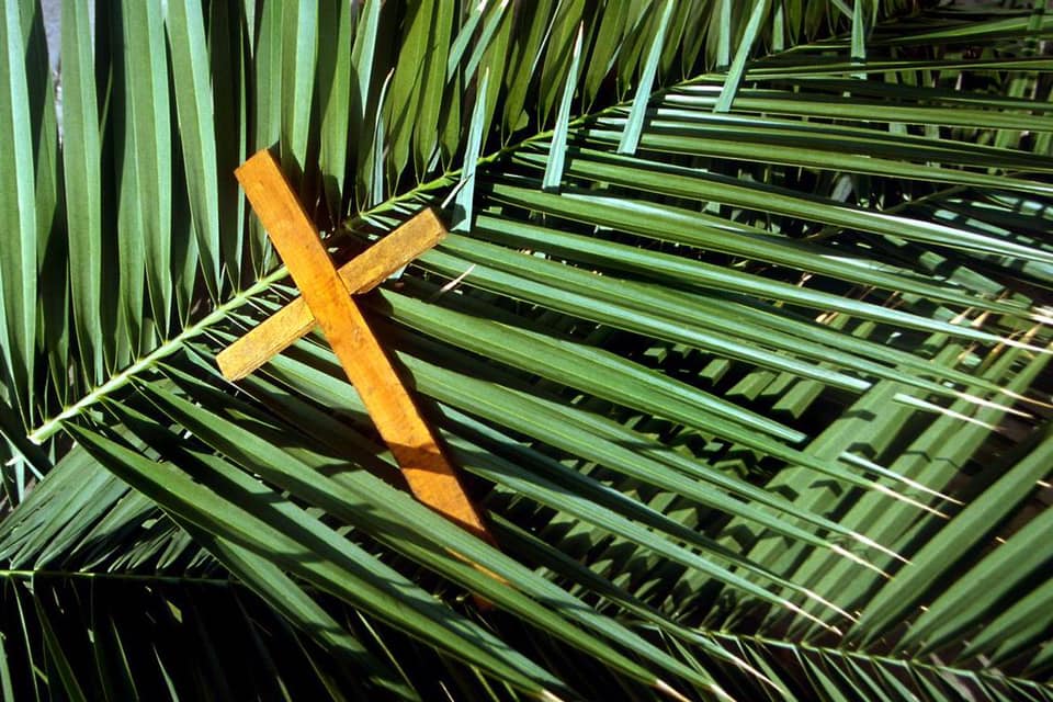 What is Palm Sunday