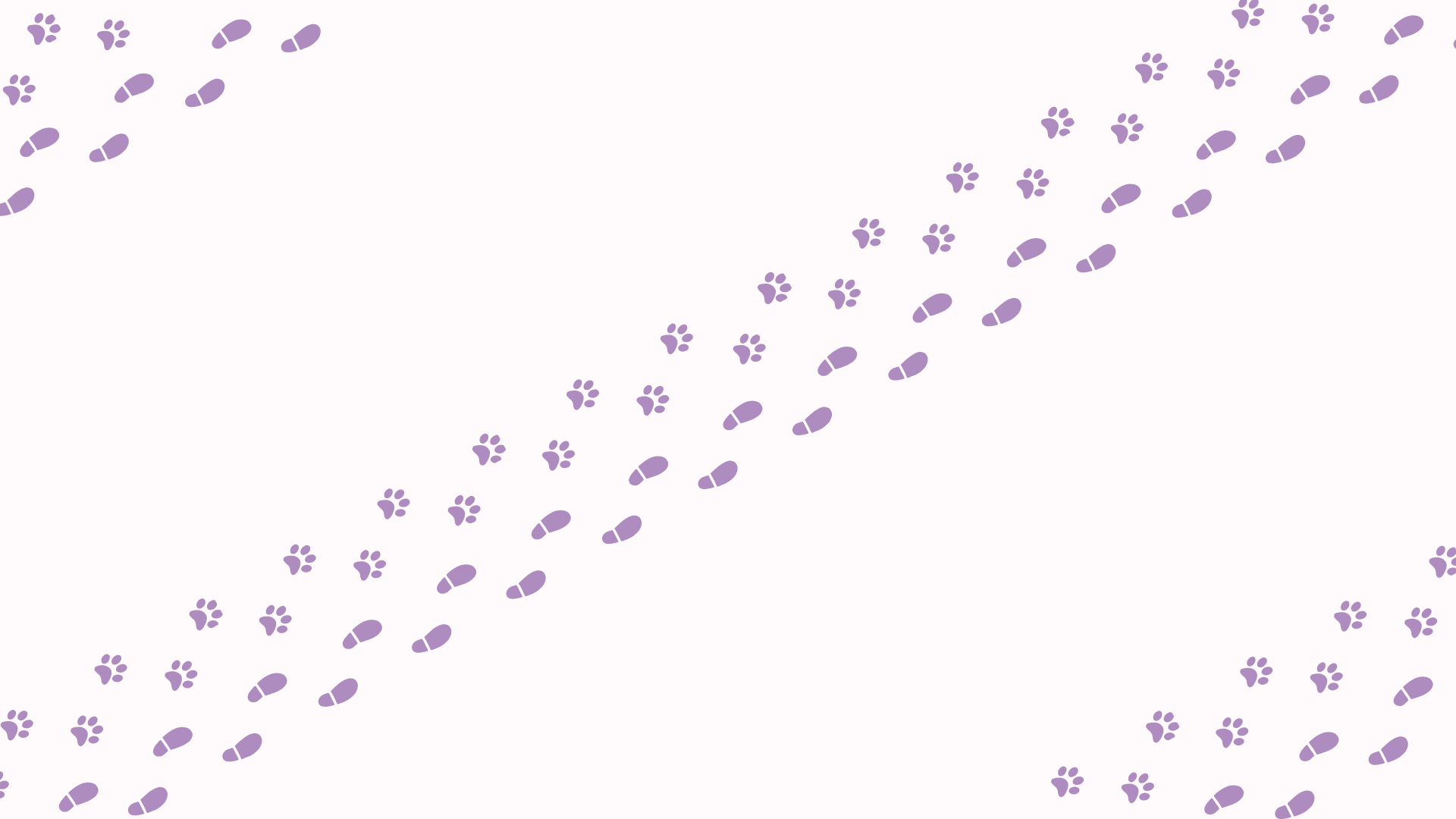 206-r69-сайт-24-17348621556082.png