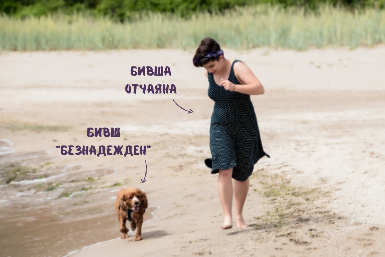 386-сайт-4-17300155607715.png