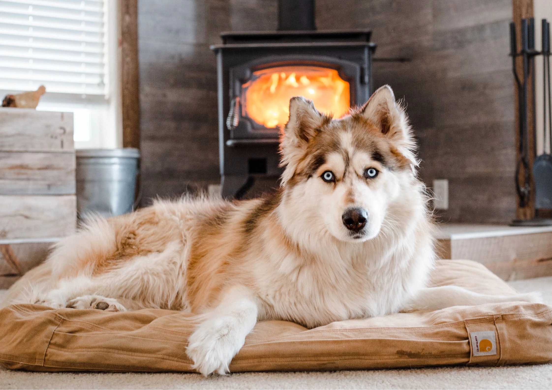 Менажиране: Метод на обучение