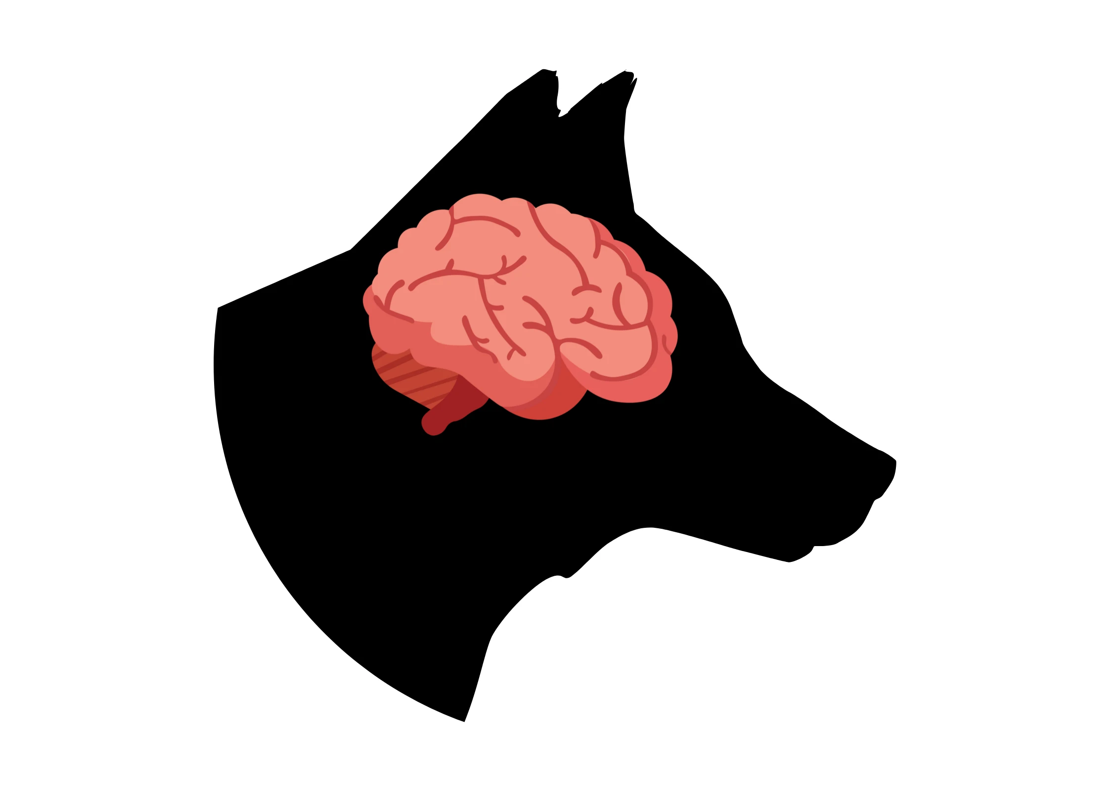 Защо да се фокусираме върху мозъка на кучето, а не върху поведенията му? 