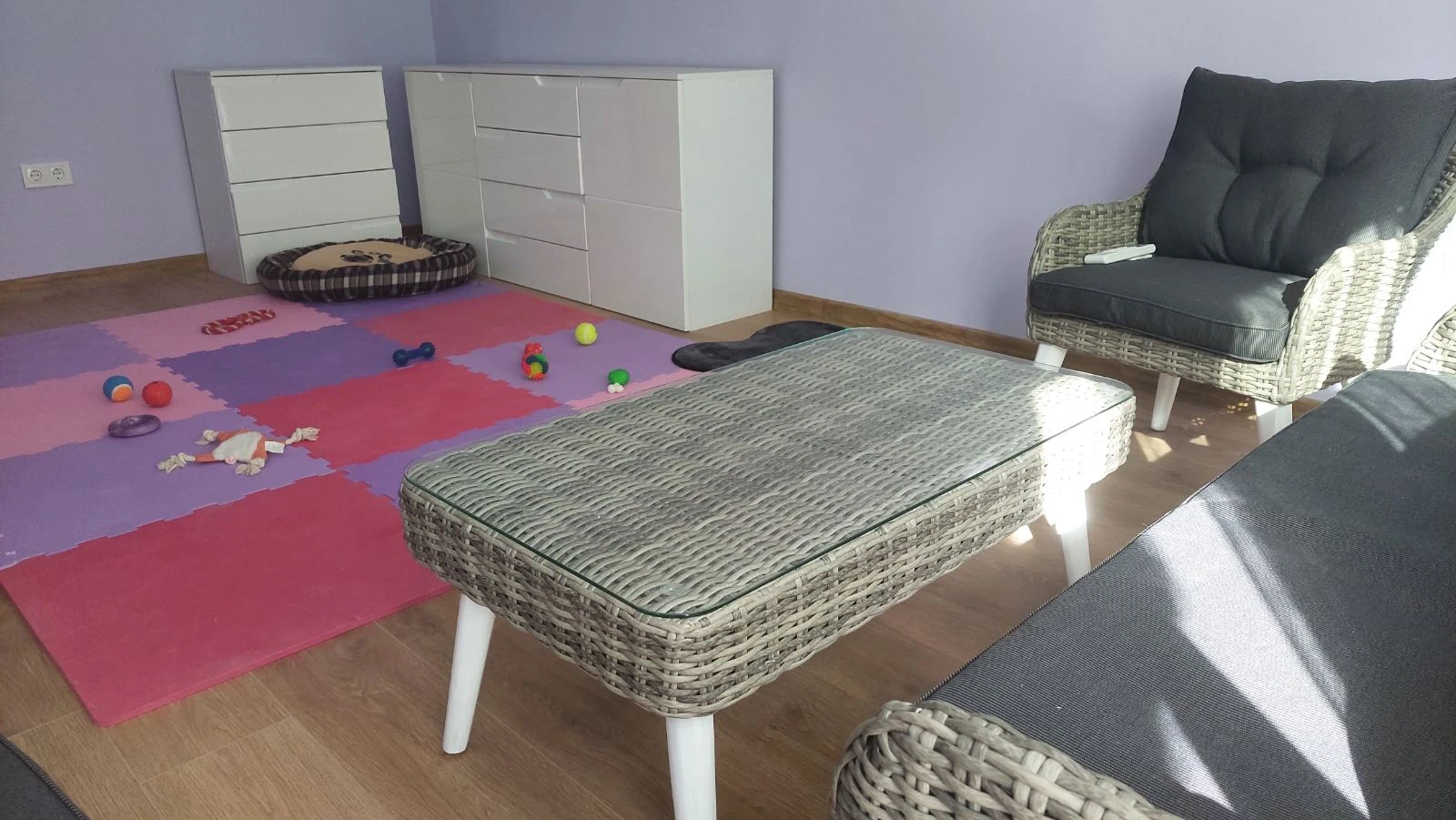 Работна стая за обучение на кучета във Варна